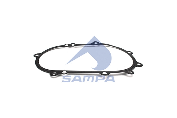 Gasket, timing case (205.349)