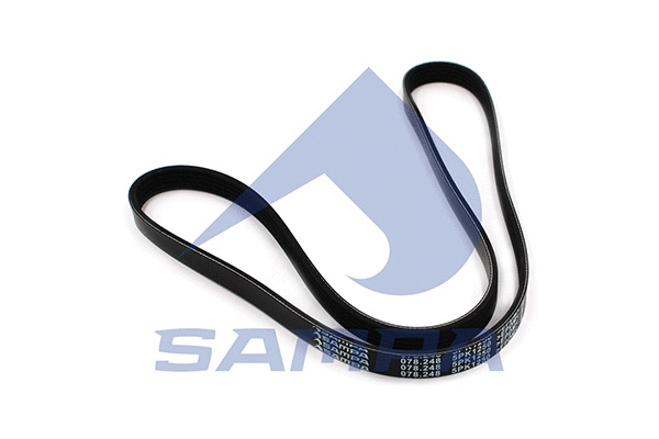 V-Ribbed Belt (078.248)