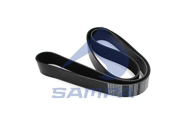 V-Ribbed Belt (061.484)