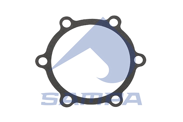 Gasket, water pump (010.3187)