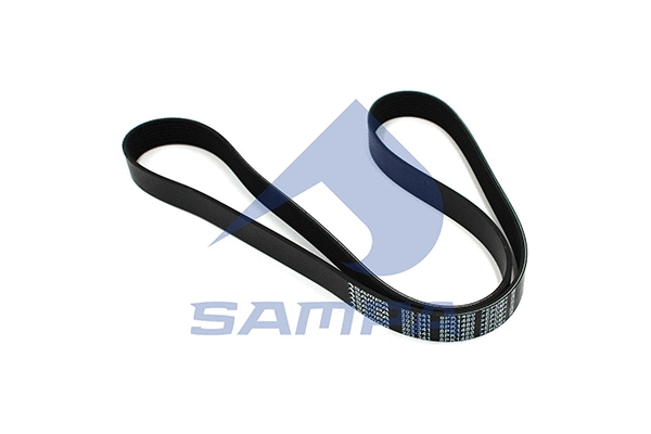 V-Ribbed Belt (203.341)