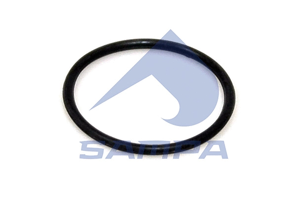 Seal Ring (115.513)