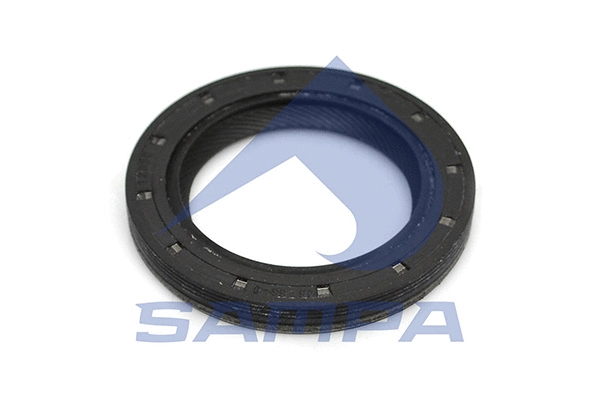 Shaft Seal, crankshaft (031.305)