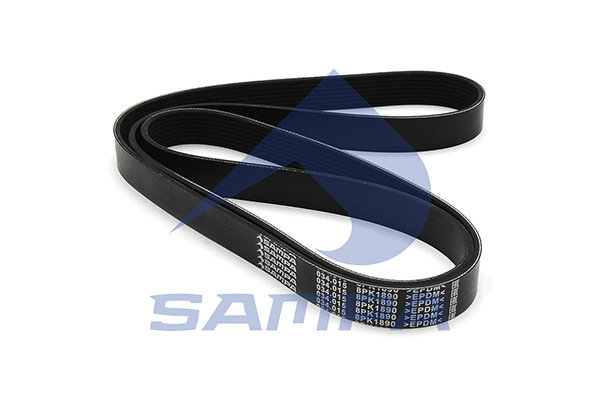 V-Ribbed Belt (034.015)