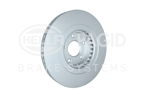 Brake Disc (8DD 355 132-691)
