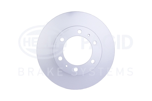 Brake Disc (8DD 355 117-261)