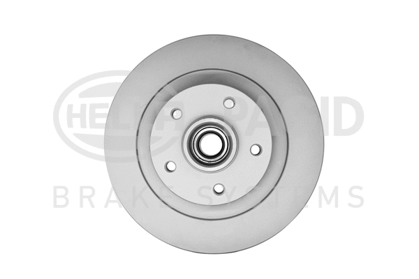 Brake Disc (8DD 355 123-171)