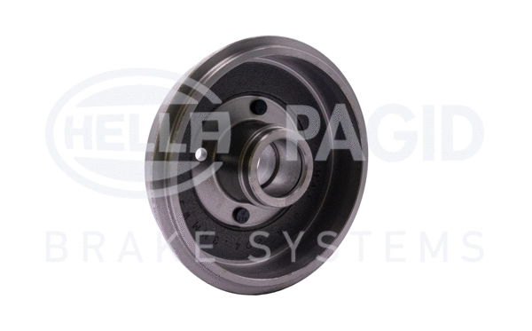 Brake Drum (8DT 355 300-261)