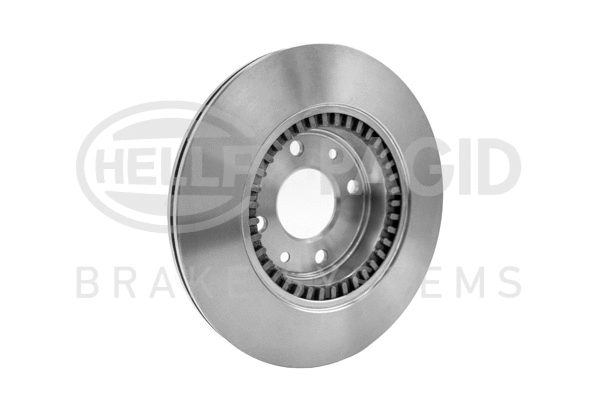 Brake Disc (8DD 355 101-281)