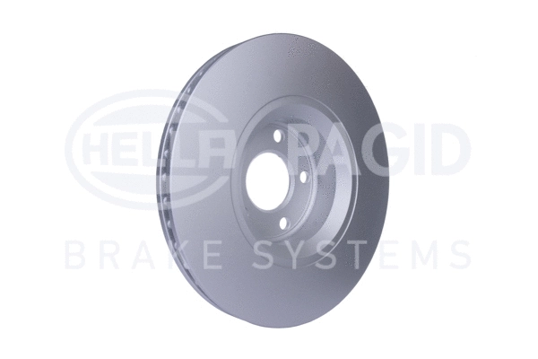 Brake Disc (8DD 355 111-141)