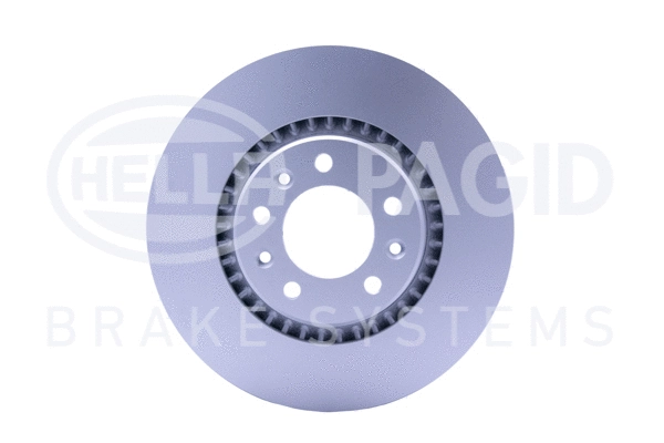 Brake Disc (8DD 355 125-401)