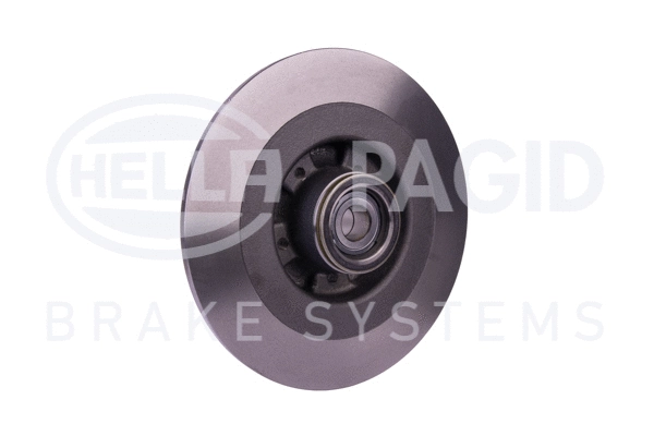 Brake Disc (8DD 355 115-321)