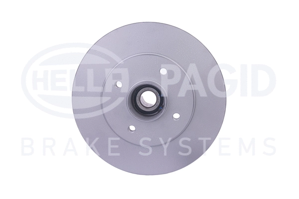Brake Disc (8DD 355 125-161)