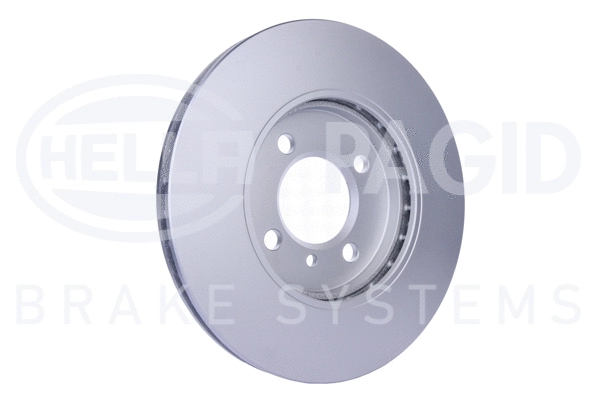 Brake Disc (8DD 355 100-651)