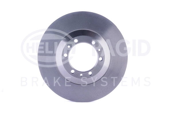 Brake Disc (8DD 355 106-001)