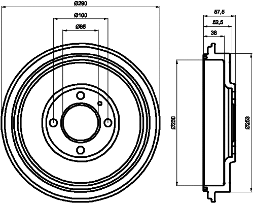Brake Drum (8DT 355 300-811)