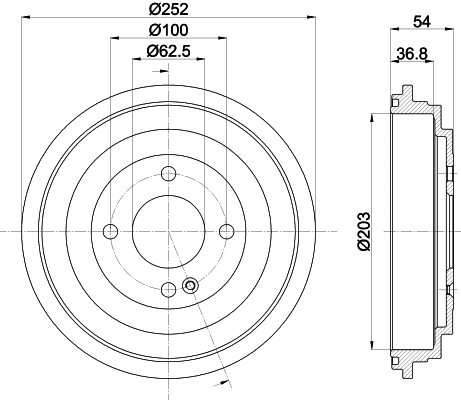 Brake Drum (8DT 355 303-301)