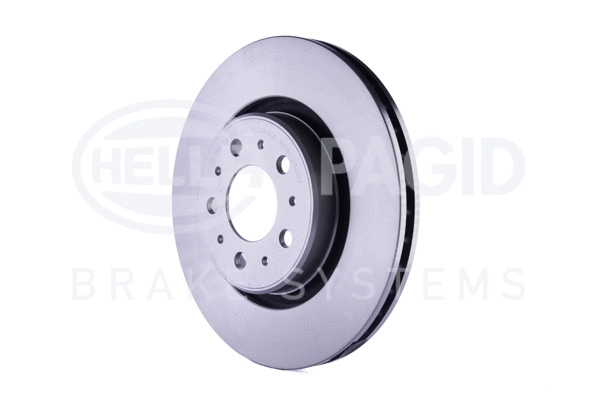 Brake Disc (8DD 355 106-131)