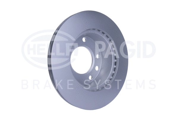 Brake Disc (8DD 355 111-001)