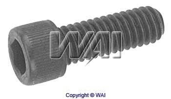 Screw (84-1425)