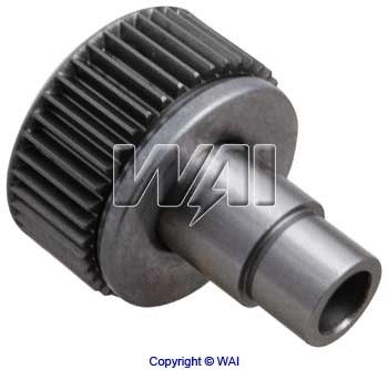 Freewheel Gear, starter