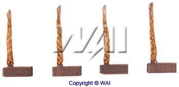 Carbon Brush, starter (BSX204-205)