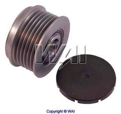 Alternator Freewheel Clutch (24-91117)
