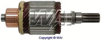 Armature, starter (61-8124)