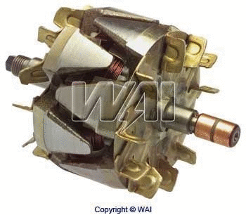 Rotor, alternator (28-8204)