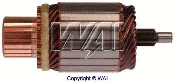 Armature, starter (61-147)