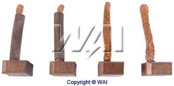 Carbon Brush, starter (JASX77-78)