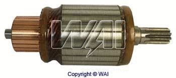 Armature, starter (61-8308)