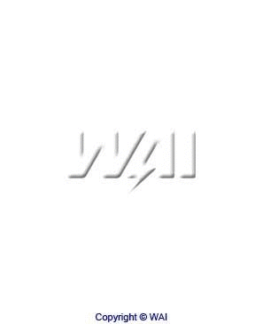 Bush, starter shaft (62-91901)