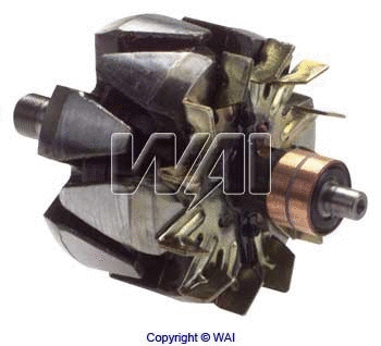 Rotor, alternator (28-124)