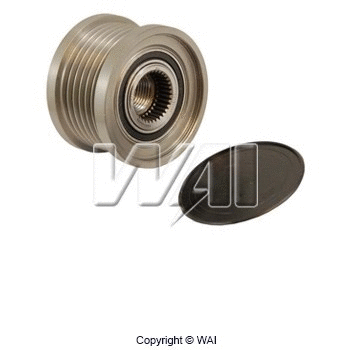 Alternator Freewheel Clutch