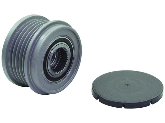 Alternator Freewheel Clutch