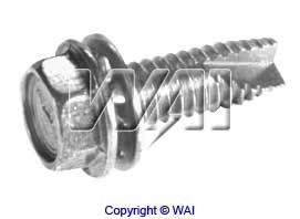 Screw (84-1207)