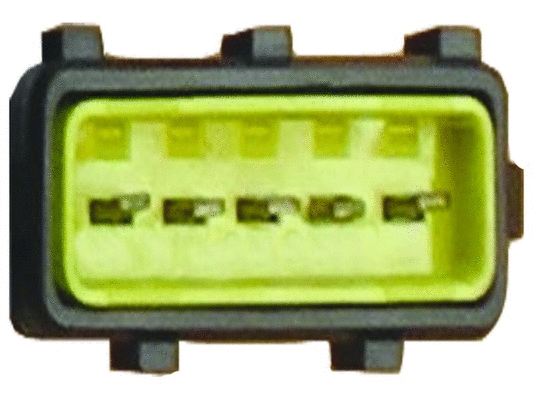 Wiper Motor