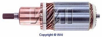 Armature, starter (61-8208)