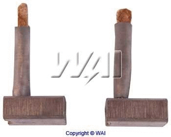 Carbon Brush, starter (BSX104)