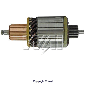 Armature, starter (61-9163)