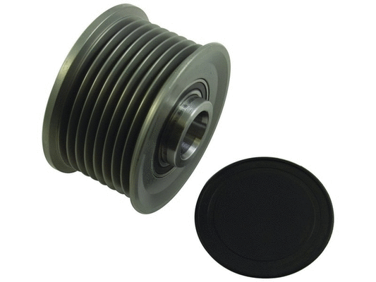 Alternator Freewheel Clutch (24-82116)