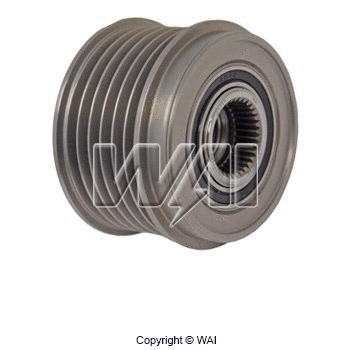 Alternator Freewheel Clutch