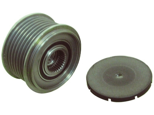 Alternator Freewheel Clutch