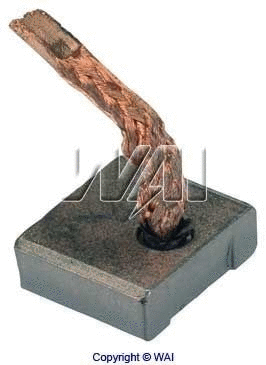 Carbon Brush, starter