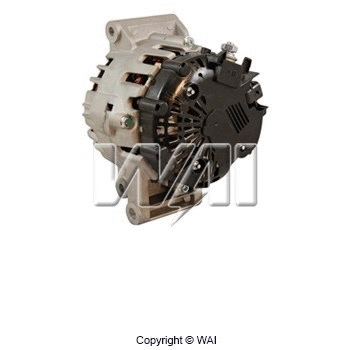 Alternator (24107N)