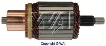 Armature, starter (61-146)