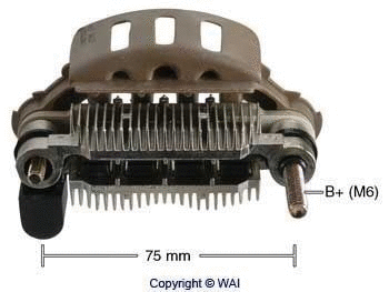 Rectifier, alternator (IMR7560)