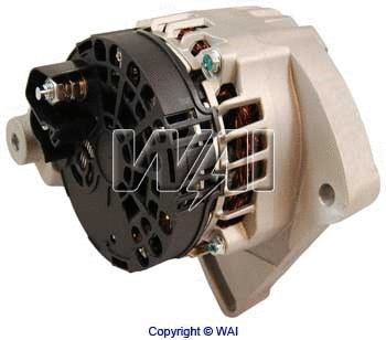Alternator (24062N)