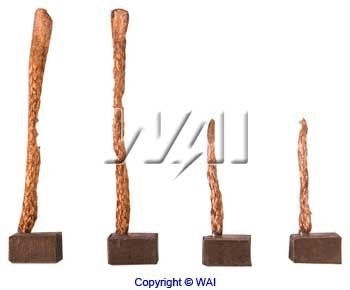 Carbon Brush, starter (PSX163-164)